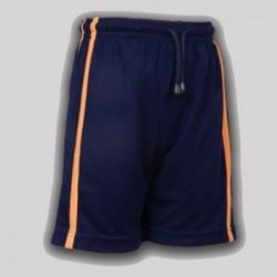 Untitled-1_0031_Shorts Navy blue - Orange 1