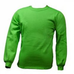 Untitled-1_0035_G. D. Goenka School - Sweatshirt ( Green )