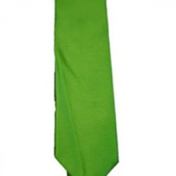 Untitled-1_0039_G. D. Goenka School - Sports Tie ( Green )