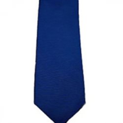 Untitled-1_0040_G. D. Goenka School - Sports Tie ( Blue )