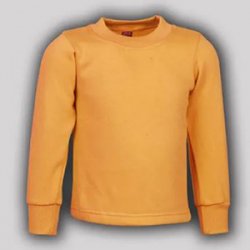 Untitled-1_0041_Maxfort School Sweatshirt ( Orange )