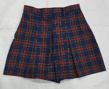 IHS SKIRT (F) 1ST TO 4TH BLUE & RED CHECKS